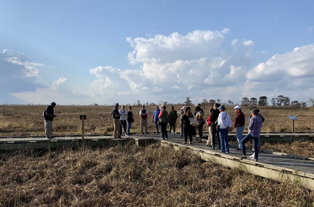 Friends of the Manchac Greenway.